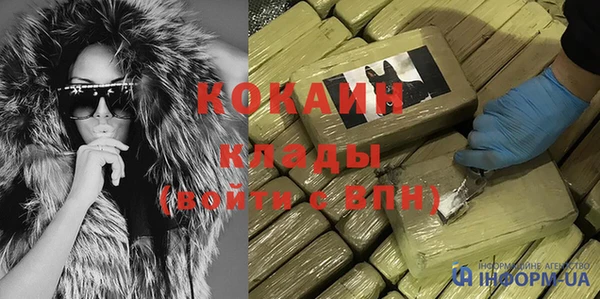 трава Белокуриха