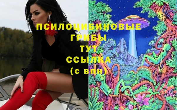 трава Белокуриха