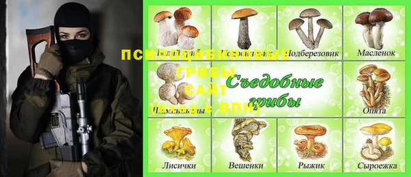 трава Белокуриха