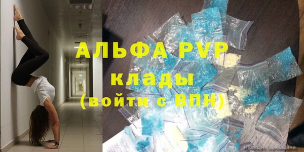 стафф Беломорск