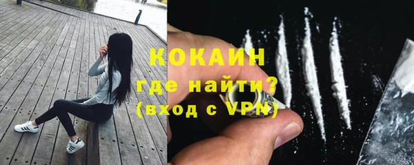 трава Белокуриха