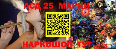 дурь Бердск