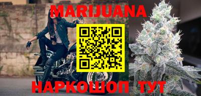 дурь Бердск