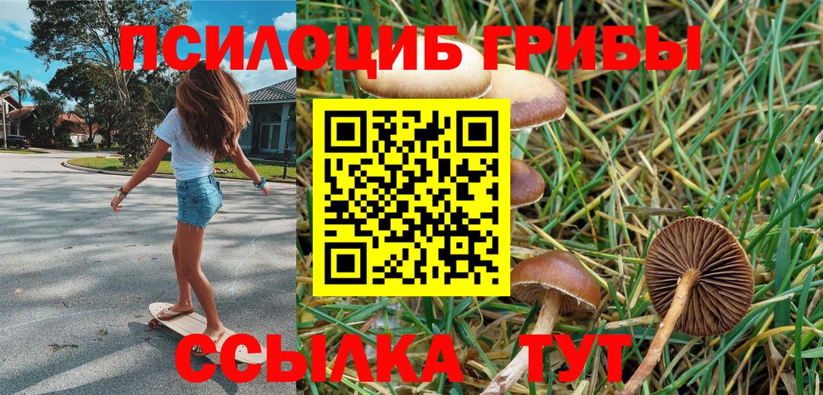 Галлюциногенные грибы Magic Shrooms Воркута