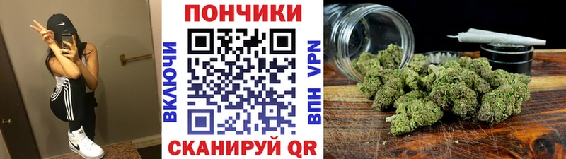 где можно купить наркотик  Воркута  Канабис сатива 