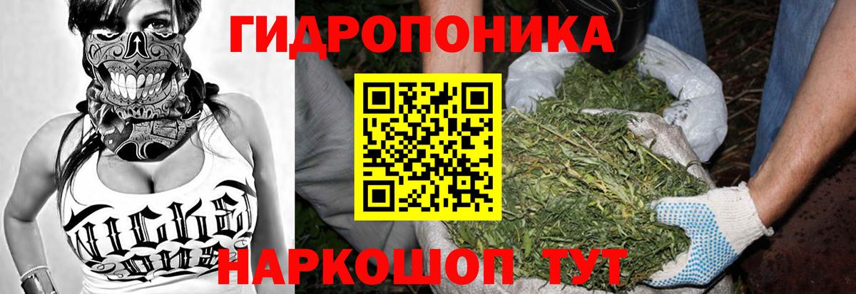 МЕФ Воркута
